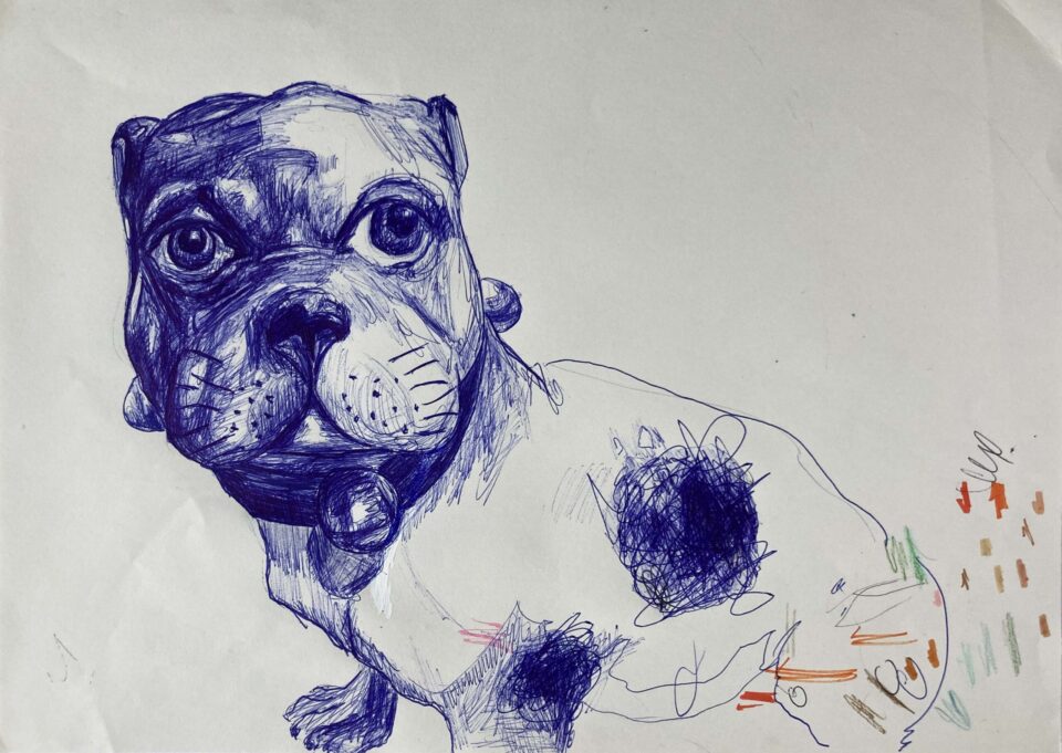 Chien 1, 21x29,7 cm, stylo à bille, feutre et crayon de couleur sur papier, 2023 