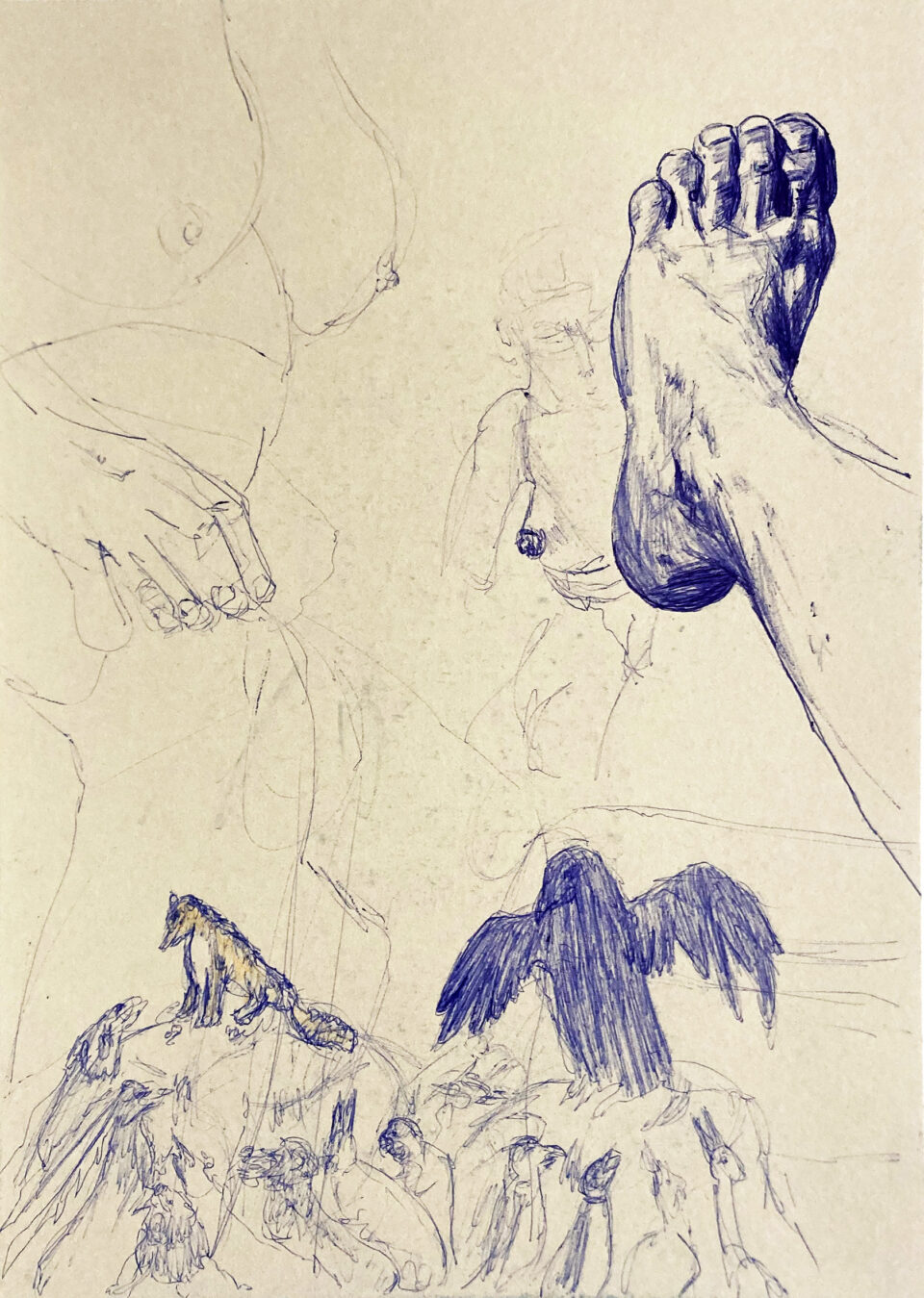 Pied et fable, 29,7x21 cm, stylo à bille et crayon de couleur sur papier, 2023