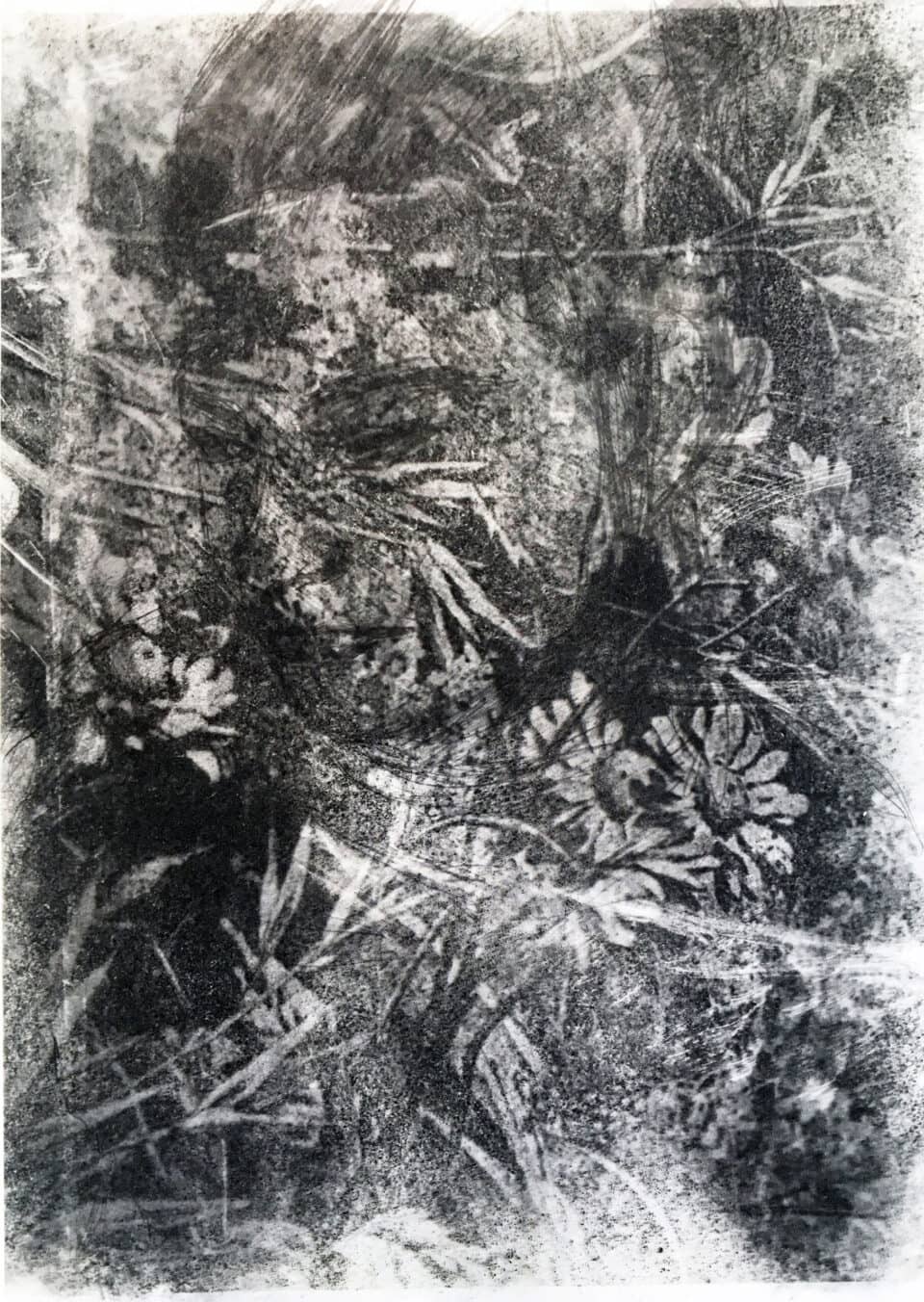 Visage aux fleurs, 29,7x 21 cm, graphite sur papier, encre, transparent, poudre de fusain, 2022