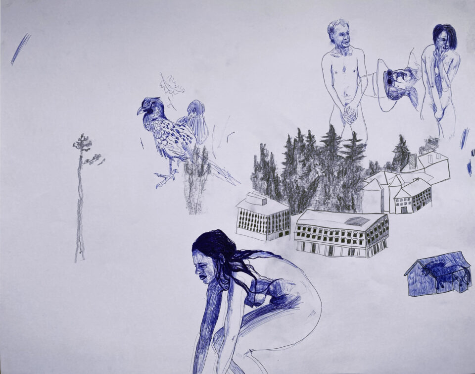 Sans titre, 50x65 cm, stylo à bille, crayon, 2024